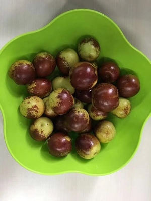 哪里的冬棗最好?山東沾化、河北黃驊、陜西大荔,還是山西、新疆江西或其他地方?